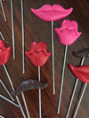 HootBooth Photo Booth props 20 Piece Prop Kit 20 Plastic Props On Steel Rods: Great Assortment of Moustaches and Lips